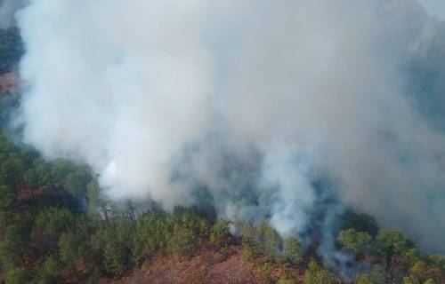 Video: Logran sofocar incendio forestal en Zacazonapan que le costó la vida a dos combatientes